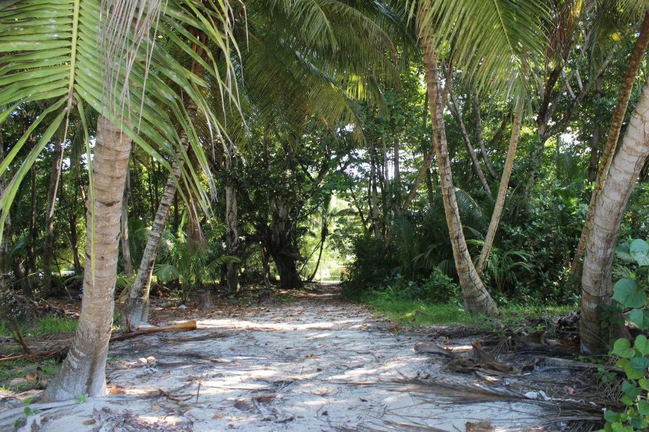 Chez Antoine Apartments Grand Anse  Luaran gambar